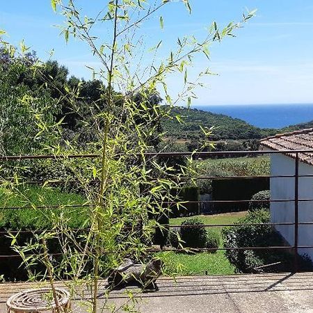 Estudio Vistas Al Mar Tamariu Y Bosques De Begur Exteriör bild